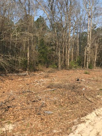 119 Ginger Ln, Dobbins Heights, NC 28345-4530