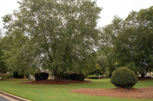 2129 Green Way Cir, Conyers GA 30013-1928 exterior