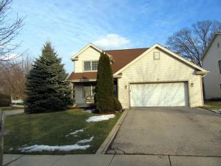 15 Greenview Ave, Long Grove, IL 60060