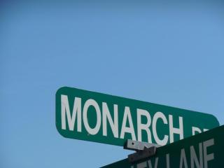 450 Monarch Dr, Branson, MO 65616-3432