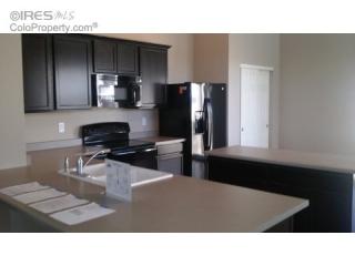 3770 Day Lily St, Wellington, CO 80549-1875