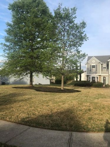 3107 Baywood Ct, Conyers, GA 30013-6738