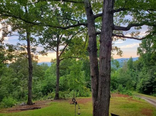 314 Junior Ward Rd, Dahlonega, GA 30533-3264