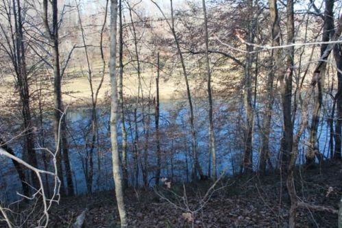43 Collins River Dr, Bone Cave, TN 38581