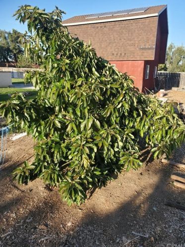 16743 Stallion Pl, Riverside CA  92504-5843 exterior