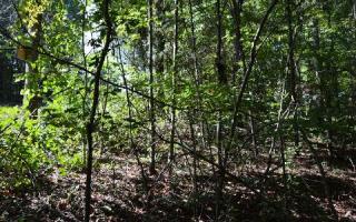 7 Oak Dr, Toccoa, GA 30577-7203