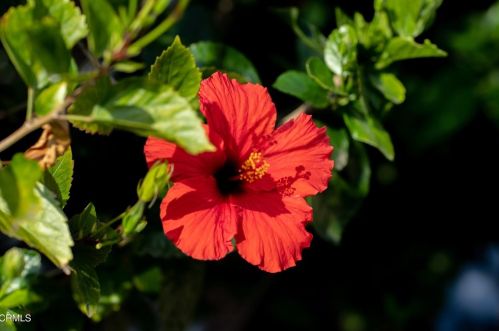 5028 Ramsdell Ave, Glendale CA 91214-1962 exterior