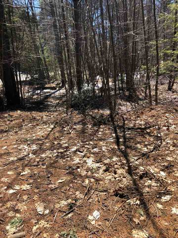 61 Beverly Hills Dr, Wakefield, NH 03830-3510