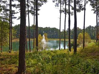 1181 Swift Crk, Reynolds Plantation, GA 30642-6835