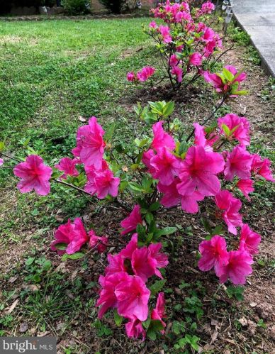 1414 Elm Grv Cir, Silver Spring MD 20905-6060 exterior