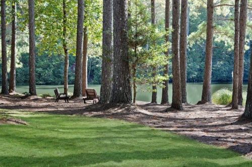 404 Golden Delicious Rd, Clarkesville, GA 30523-8409