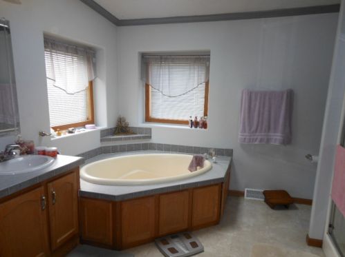 209 Hibiscus Cir, Matteson IL  60443-2888 exterior