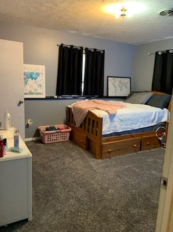 126 Diller St, Swygert IL  61764-2704 exterior