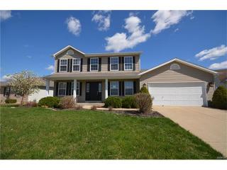 208 Niagra Dr, Gilmore, MO 63385-3458