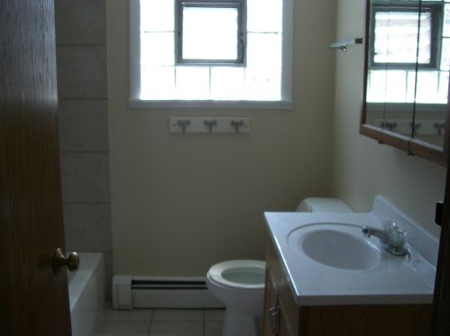 912 State St, Lemont IL  60439-4666 exterior