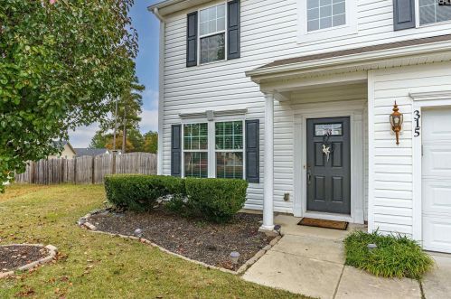 315 Toboggan Ct, Lexington, SC 29072-6737