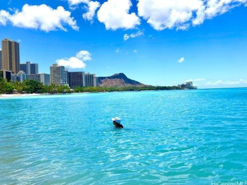 2442 Kuhio Ave, Honolulu HI  96815-3335 exterior