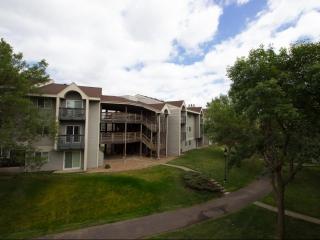 1351 Carling Dr, Saint Paul MN  55108-5232 exterior