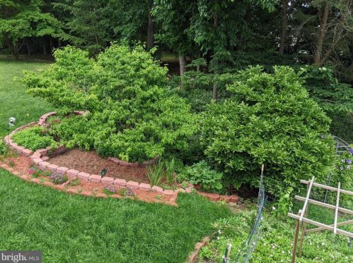 13003 Firestone Ct, Silver Spring MD 20904-7309 exterior