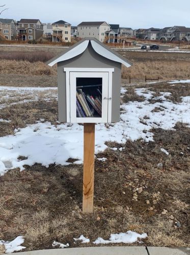 4635 Odessa St, Denver CO  80249-8087 exterior