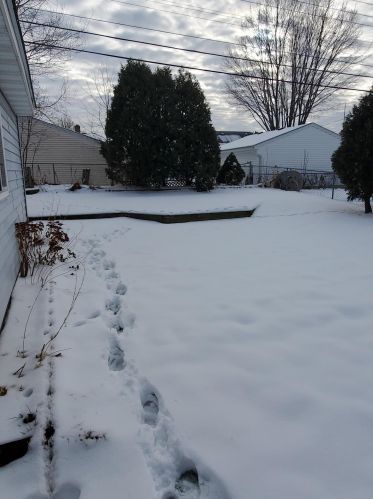 2132 3 St, Saint Paul MN  55106-5778 exterior