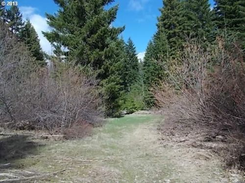 38 Frontier Rd, Appleton, WA 98602-9704