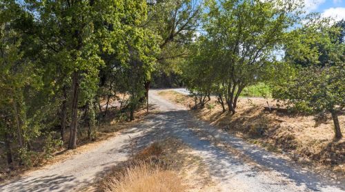 8300 Amber Ln, Newcastle, CA 95658-9412