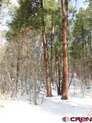 270 Fawn Dr, Vallecito, CO 81122-9843