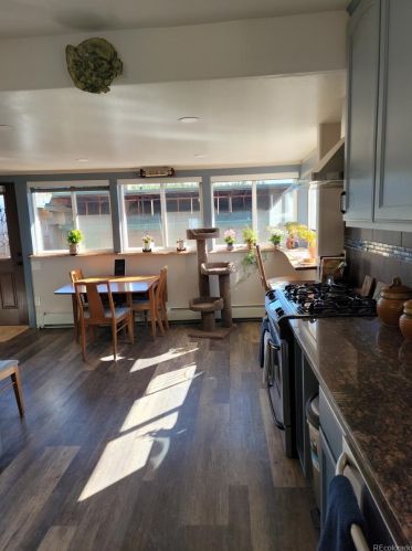 429 Elm St, Leadville CO  80461-3911 exterior