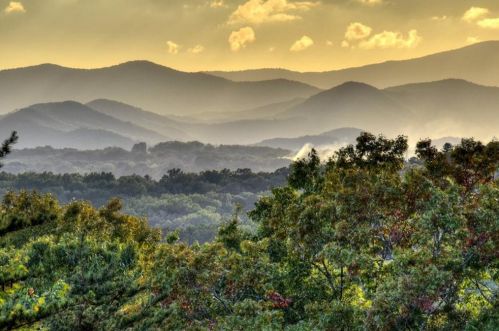 516 Endless View Rd, Mineral Bluff, GA 30559-2244