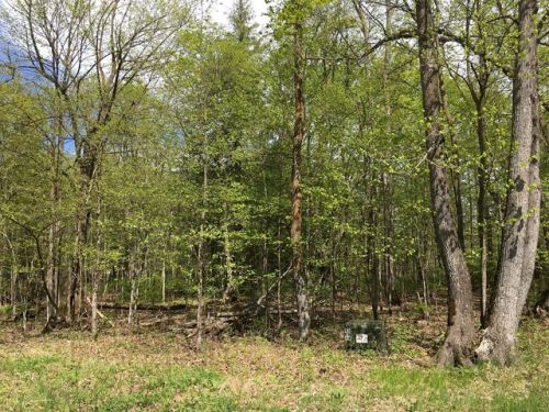 18776 Farington Ln, Hines, MN 56647-4845