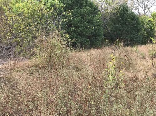 308 Schlemmer St, Uhland TX 78640-5681 exterior