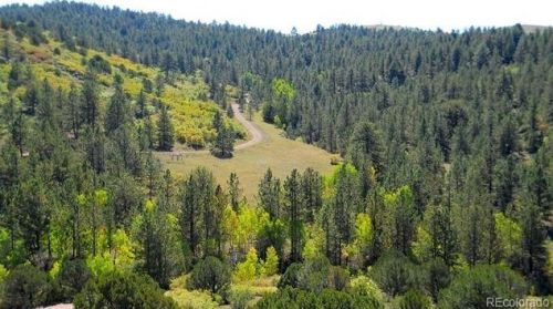 3555 Buckhorn Ln, Canon City CO 81212-8229 exterior