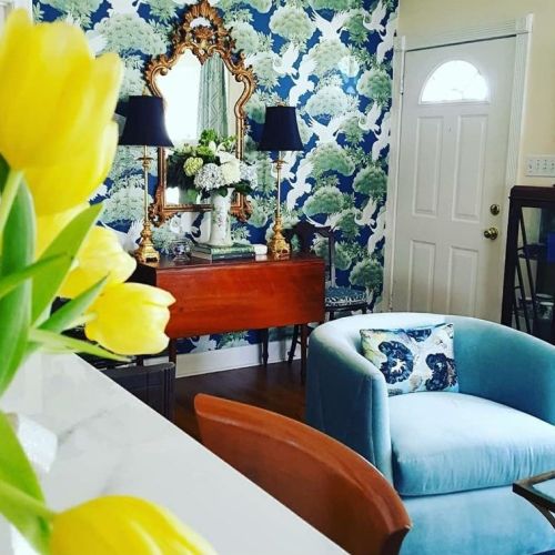 1906 Collier St, Austin TX  78704-2824 exterior