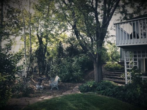 2682 Meadow Ln, Mead, CO 80542-9765