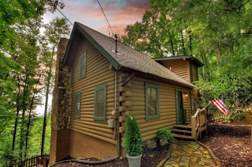 424 Walnut Ridge Ter, Ellijay, GA 30540-8793