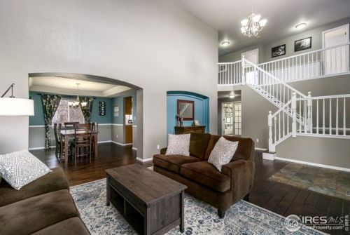 513 Idalia Ct, Fort Collins CO  80525-7011 exterior