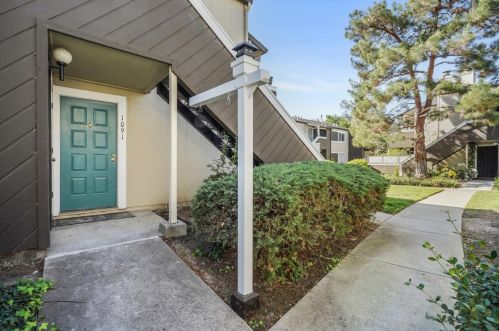 1091 Tekman Dr, San Jose, CA 95122-4211