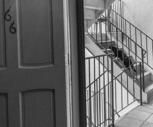 66 Montre Sq, Atlanta GA  30327-4043 exterior