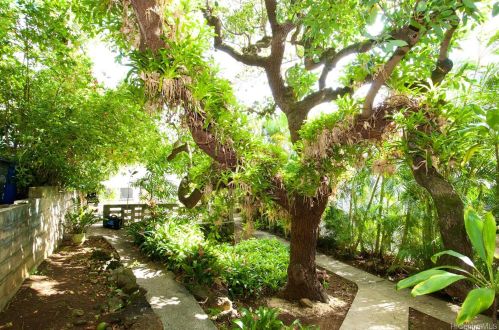 2871 Manoa Rd, Honolulu HI  96822-2120 exterior