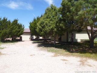 3790 Broken Arrow Dr, Amo, CO 80831-6904