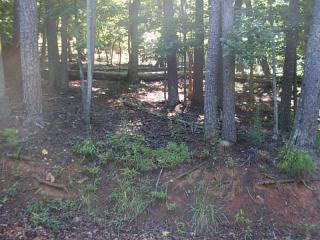 4542 Sassafras Ct, Big Canoe, GA 30143