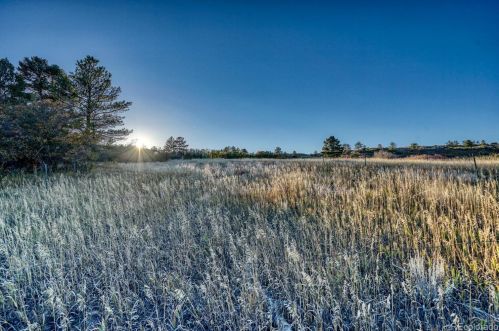 588 Coronado Dr, Deckers CO 80135-8316 exterior