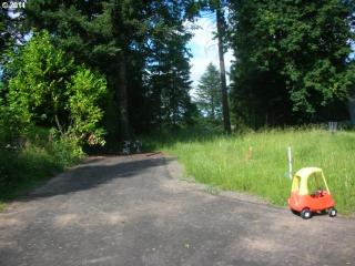 19490 Kay St, Portland, OR 97267-6919