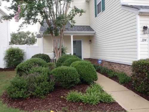 394 Oaks Trl, Holly Springs GA  30188-7356 exterior