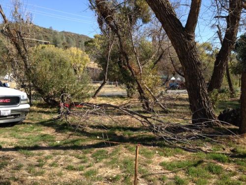 18120 Newvale Dr, Leona Valley, CA 93532-1035