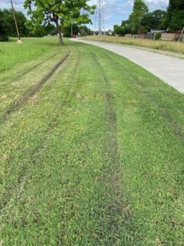 3151 Chapel Downs Dr, Dallas TX  75229-5834 exterior