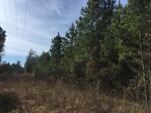 42 Burtsell Rd, Okolona, AR 71962