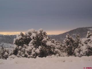 29 Evergreen Ln, Antonito, CO 81120-9025
