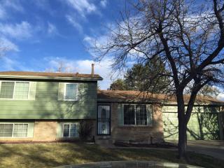 2508 Dillon St, Denver CO  80014-2422 exterior